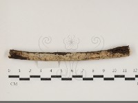 登錄號:F0034364藏品圖，第1張