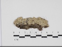 登錄號:F0034366藏品圖，第1張