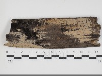 登錄號:F0034367藏品圖，第1張