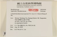 登錄號:F0034368藏品圖，第3張