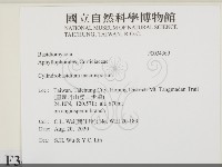 登錄號:F0034369藏品圖，第2張