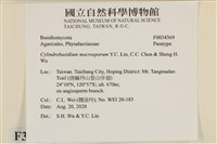 登錄號:F0034369藏品圖，第3張