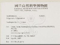 登錄號:F0034371藏品圖，第2張