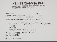 登錄號:F0034372藏品圖，第2張