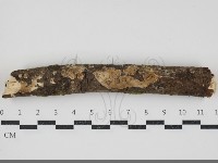 登錄號:F0034372藏品圖，第1張