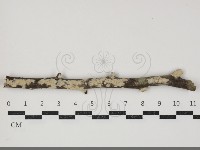 登錄號:F0034373藏品圖，第2張