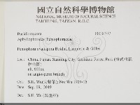 登錄號:F0034377藏品圖，第2張