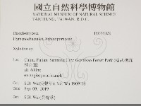 登錄號:F0034378藏品圖，第1張