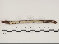 登錄號:F0034379藏品圖，第1張