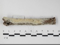 登錄號:F0034380藏品圖，第2張