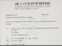 登錄號:F0034381藏品圖，第2張