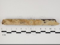 登錄號:F0034381藏品圖，第1張