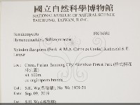 登錄號:F0034381藏品圖，第3張