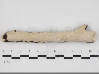 登錄號:F0034383藏品圖，第1張