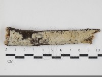 登錄號:F0034384藏品圖，第2張