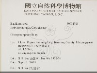 登錄號:F0034386藏品圖，第2張