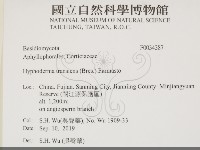 登錄號:F0034387藏品圖，第2張