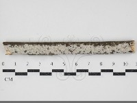 登錄號:F0034388藏品圖，第1張