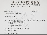 登錄號:F0034389藏品圖，第2張