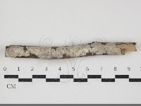 登錄號:F0034389藏品圖，第1張