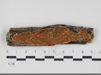 登錄號:F0034390藏品圖，第1張