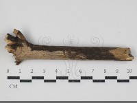 登錄號:F0034391藏品圖，第2張