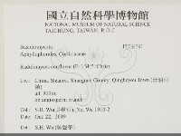 登錄號:F0034391藏品圖，第1張