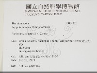 登錄號:F0034392藏品圖，第2張