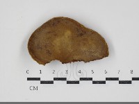 漆屬桑黃藏品圖，第3張