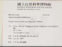 登錄號:F0034395藏品圖，第2張