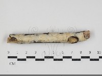 登錄號:F0034395藏品圖，第1張