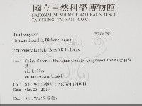 登錄號:F0034396藏品圖，第2張