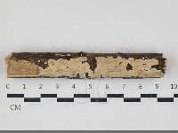 登錄號:F0034398藏品圖，第1張