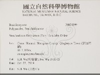 登錄號:F0034399藏品圖，第2張