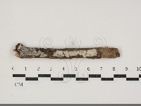 登錄號:F0034400藏品圖，第1張