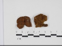 登錄號:F0034402藏品圖，第1張