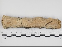 登錄號:F0034406藏品圖，第2張