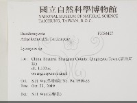 登錄號:F0034407藏品圖，第2張