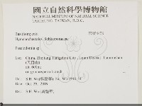 登錄號:F0034408藏品圖，第2張