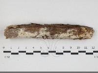 登錄號:F0034408藏品圖，第1張