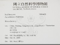 刺皮菌屬藏品圖，第2張