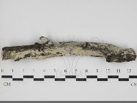 登錄號:F0034411藏品圖，第2張