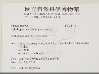 登錄號:F0034412藏品圖，第2張