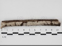 登錄號:F0034412藏品圖，第1張