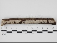 登錄號:F0034412藏品圖，第3張