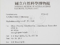 剛毛絲皮菌藏品圖，第2張