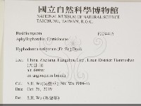 剛毛絲皮菌藏品圖，第2張