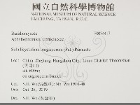 登錄號:F0034417藏品圖，第2張