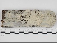 登錄號:F0034417藏品圖，第1張