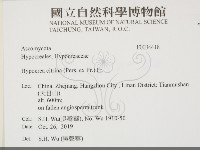 登錄號:F0034418藏品圖，第2張